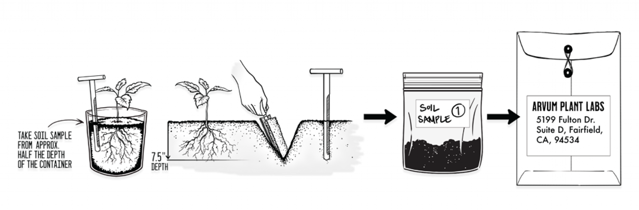 SAMPLE PROCEDURES SOIL MEDIA Arvum Plant Labs