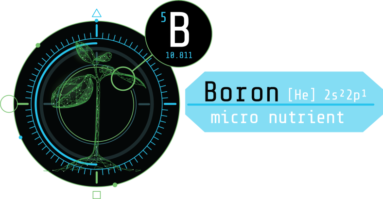 Boron: The Unsung Hero of Plant Performance