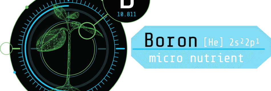 Boron Icon