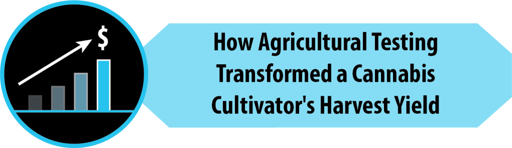 How Agricultural Testing Transformed a Cannabis Cultivator's Harvest Yield Case Study Icon