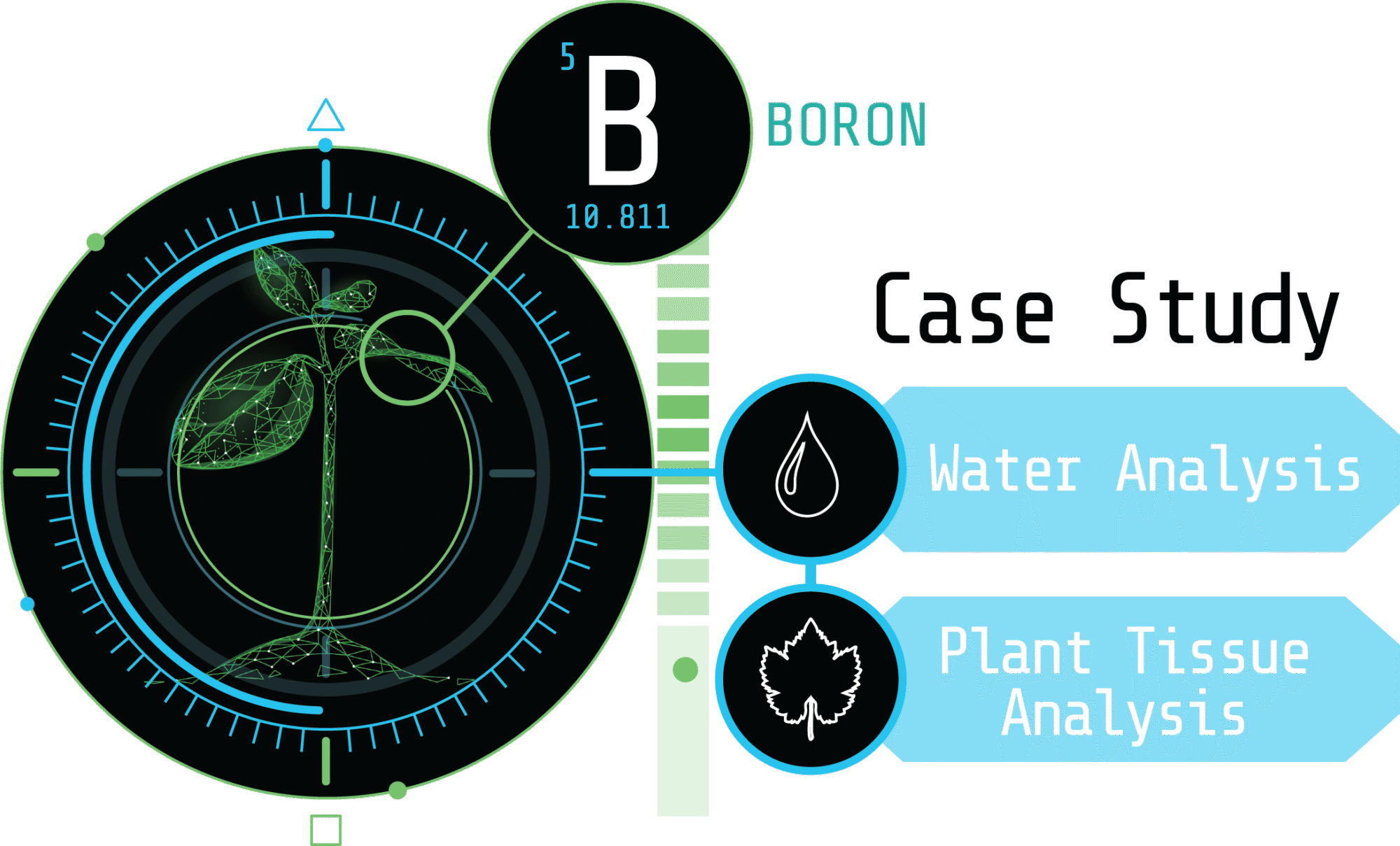 Case Study Boron RO Water and Tissue Testing