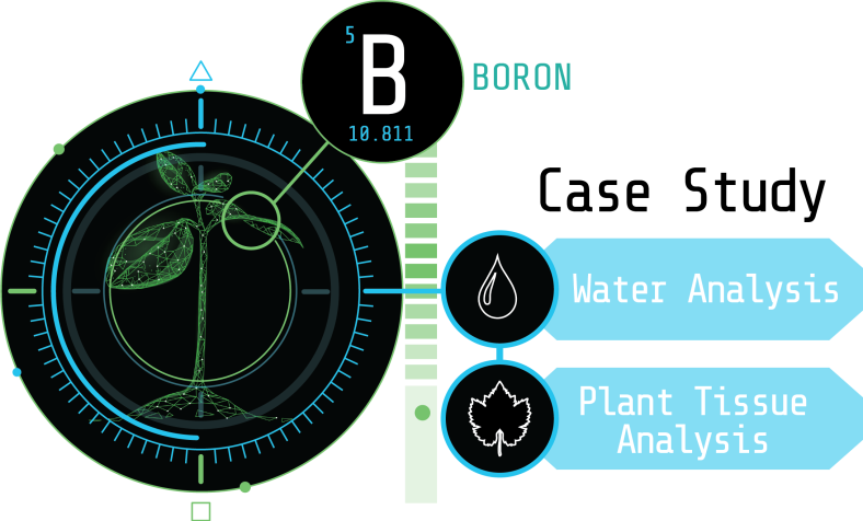 Case Study: A Common Culprit to Excessive Boron in Cannabis Cultivation