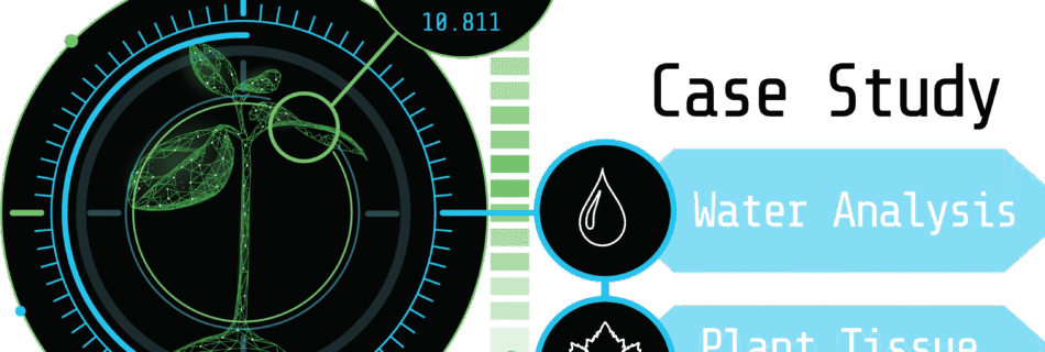 Case Study Boron RO Water and Tissue Testing