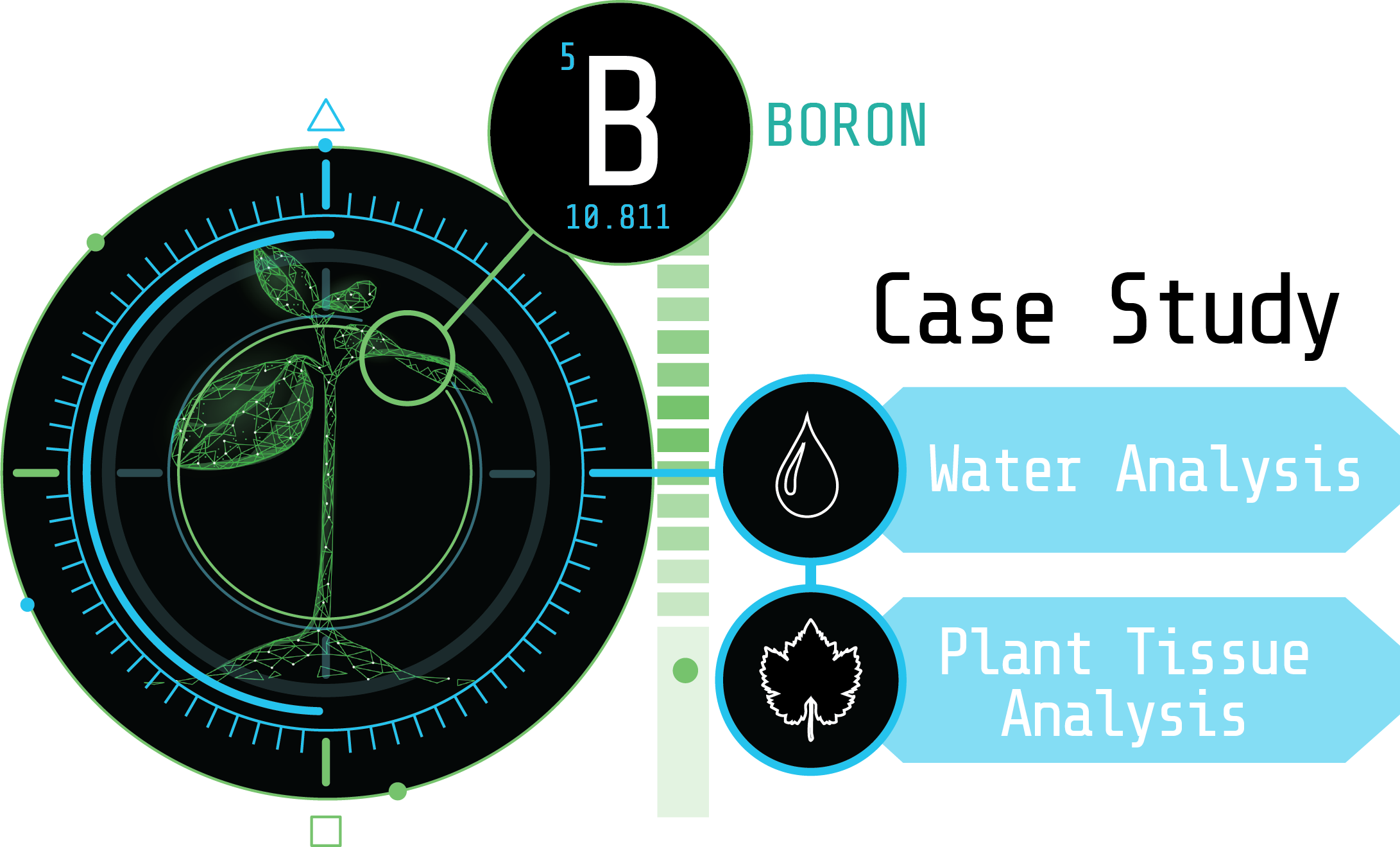 Case Study Boron RO Water and Tissue Testing