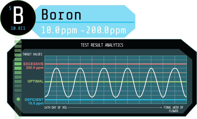 Understanding the Effects of Excessive and Deficient Boron Levels on Your Plants