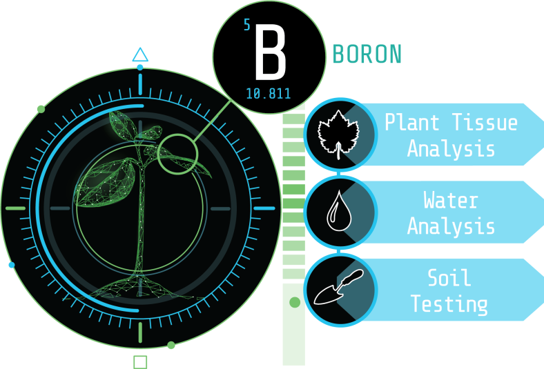 Methods for Determination of Boron in Soil, Plant Tissue and Water Samples