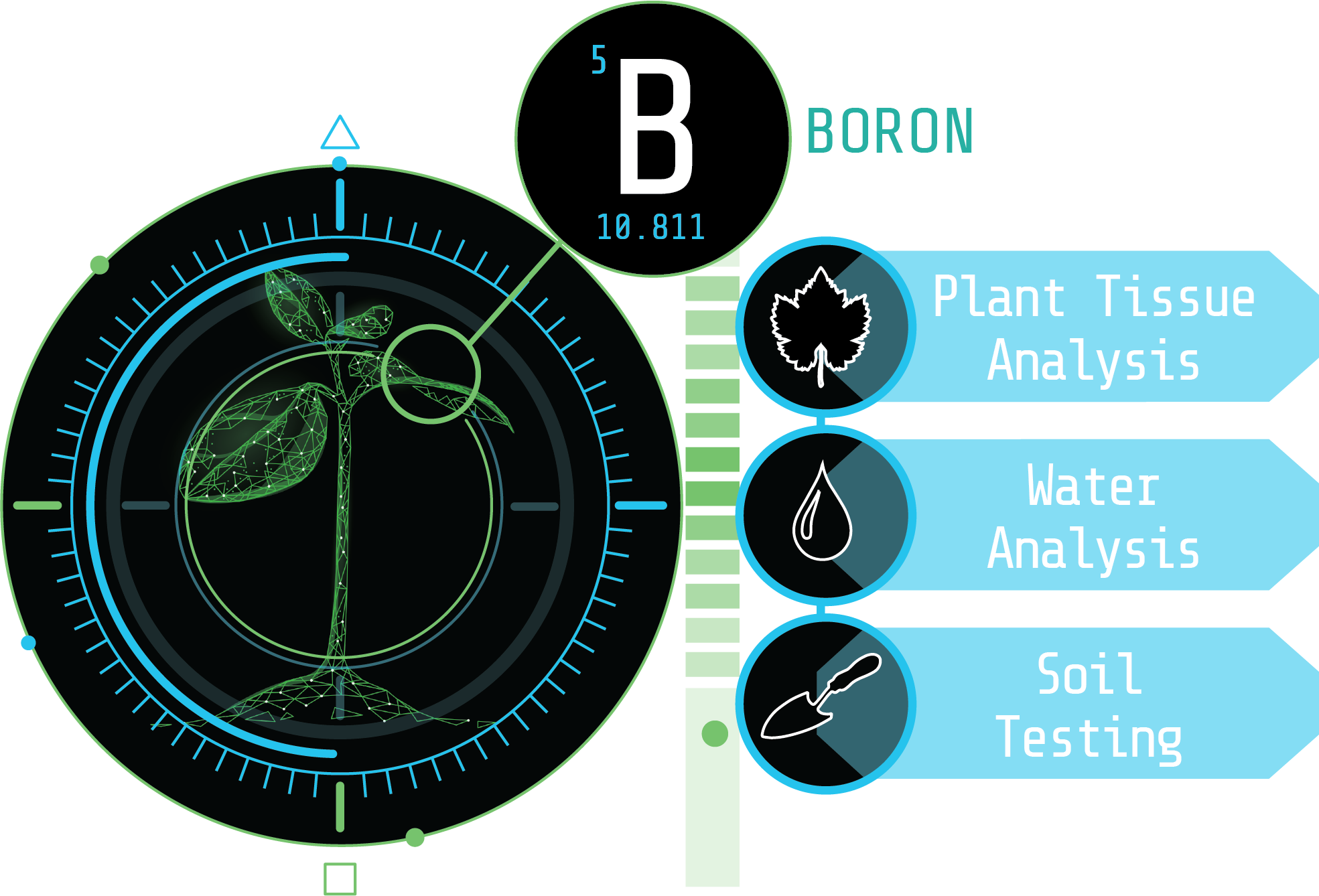BoronTesting-Tissue-Water-Soil