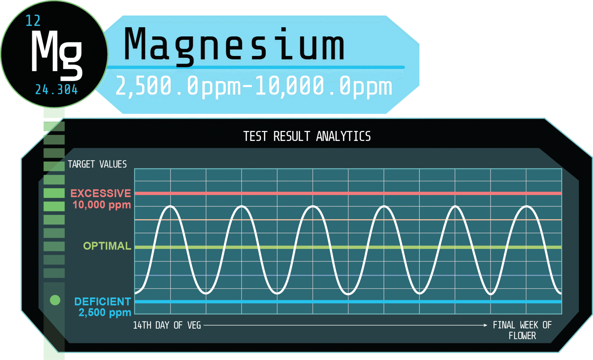 Magnesium Levels