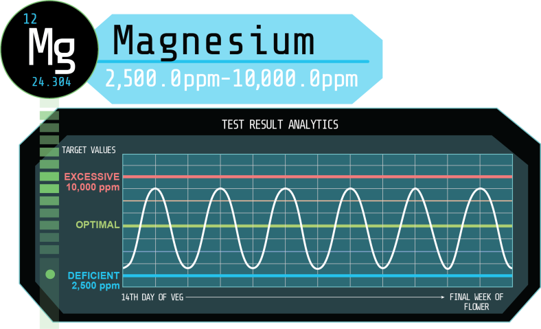 Magnesium in the Spotlight: Mastering the Balancing Act for Peak Plant Performance