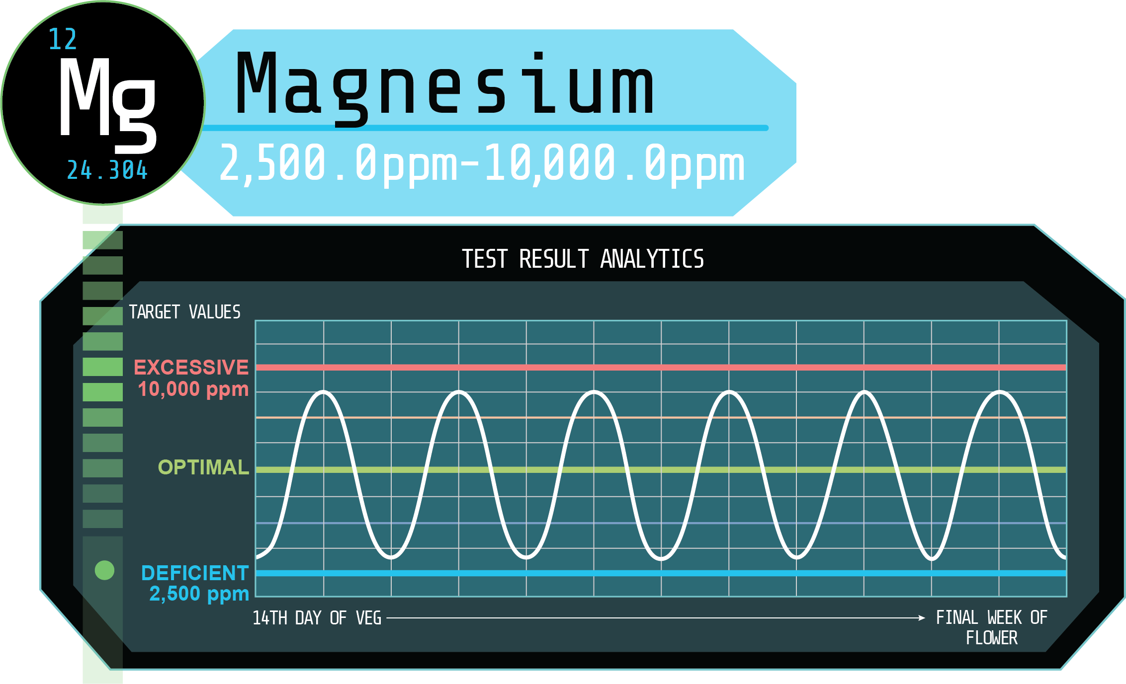 Magnesium Levels