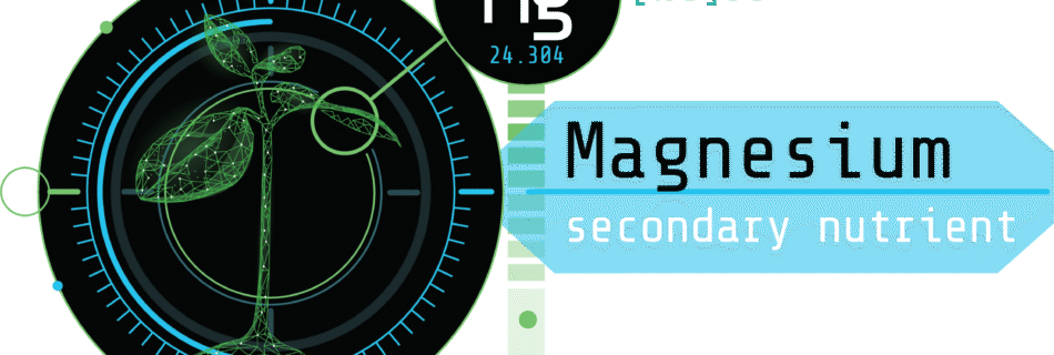 icon-magnesium