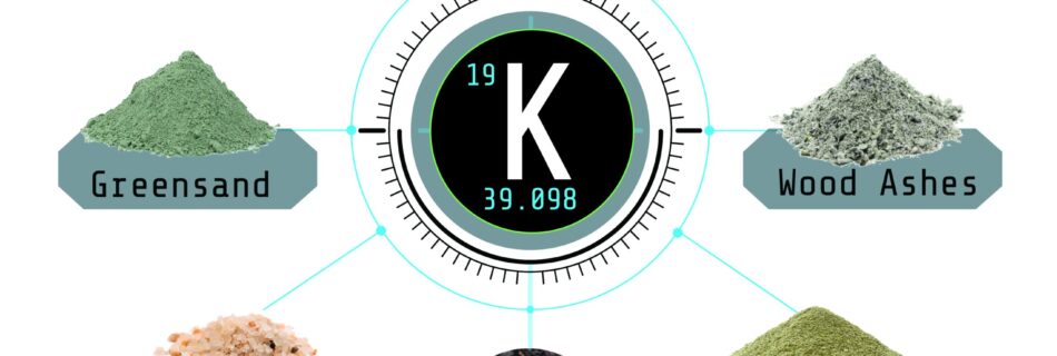 Potassium Sources