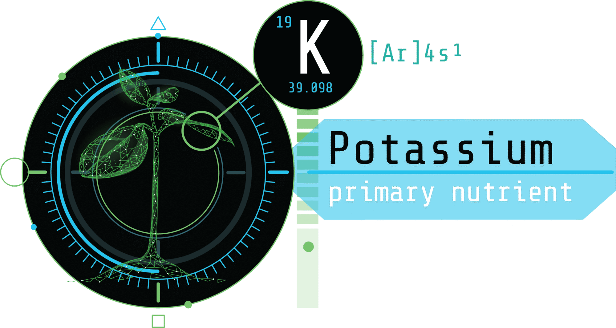 potassium