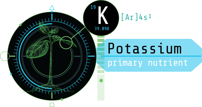 Potassium: The Powerhouse Nutrient Behind Plant Vitality