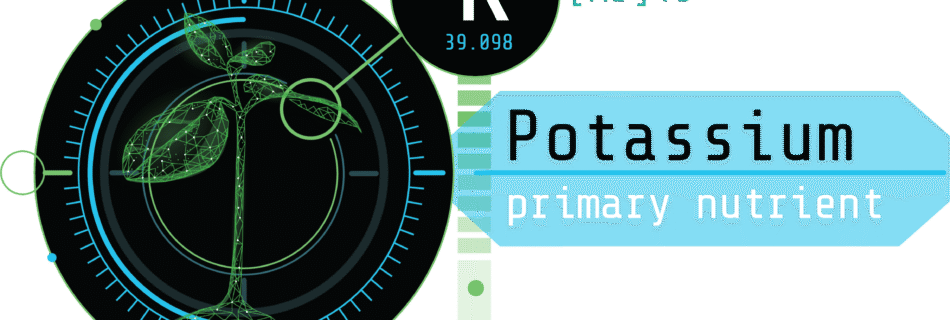 potassium