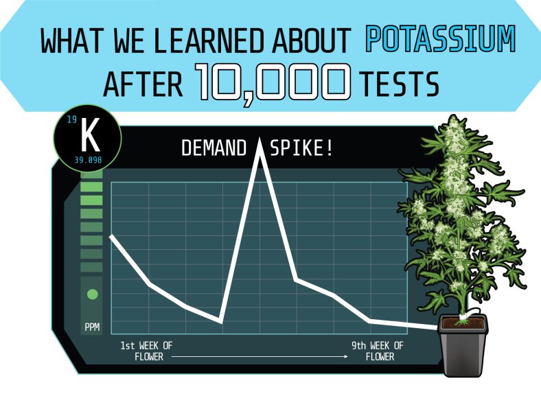 Potassium 1000Tests blog