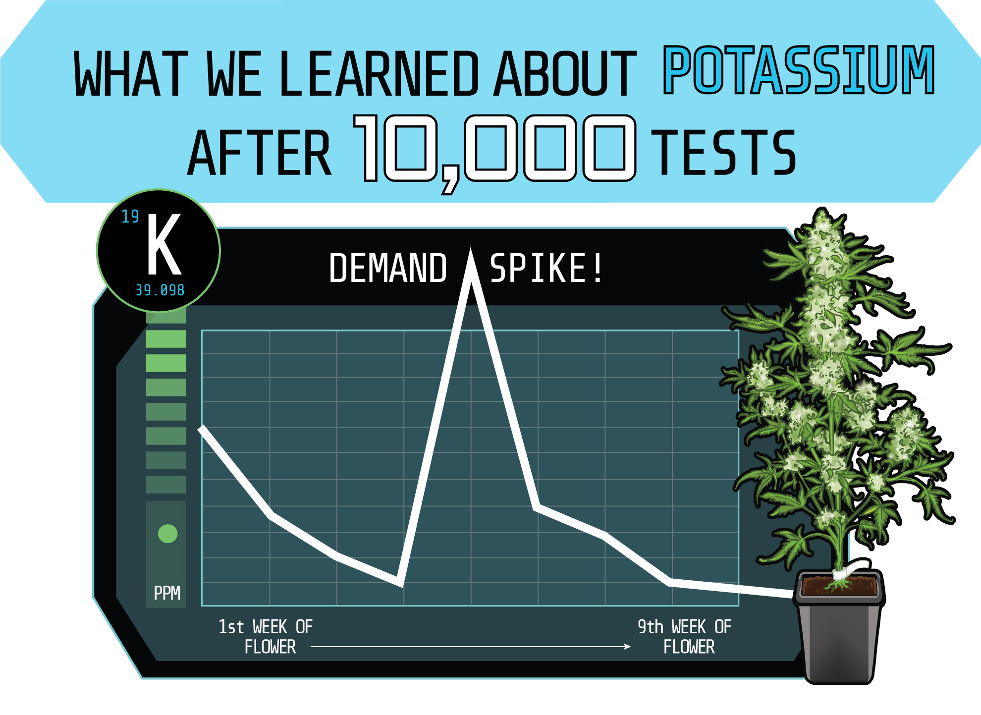 Potassium 1000Tests blog