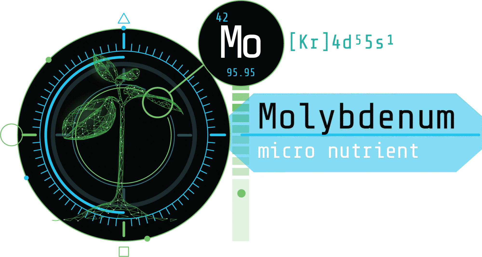 Molybdenum and its Role in Plant Performance