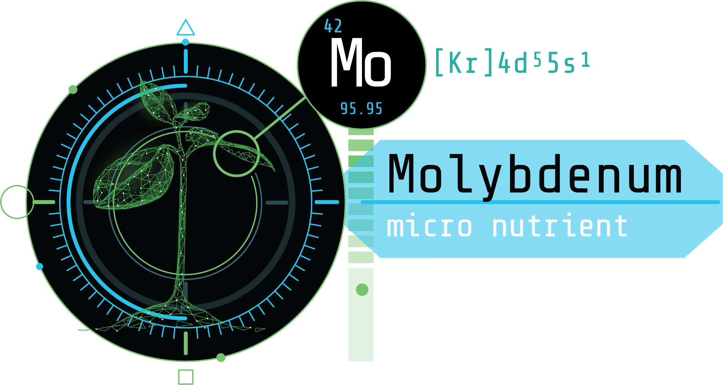 Molybdenum and its Role in Plant Performance