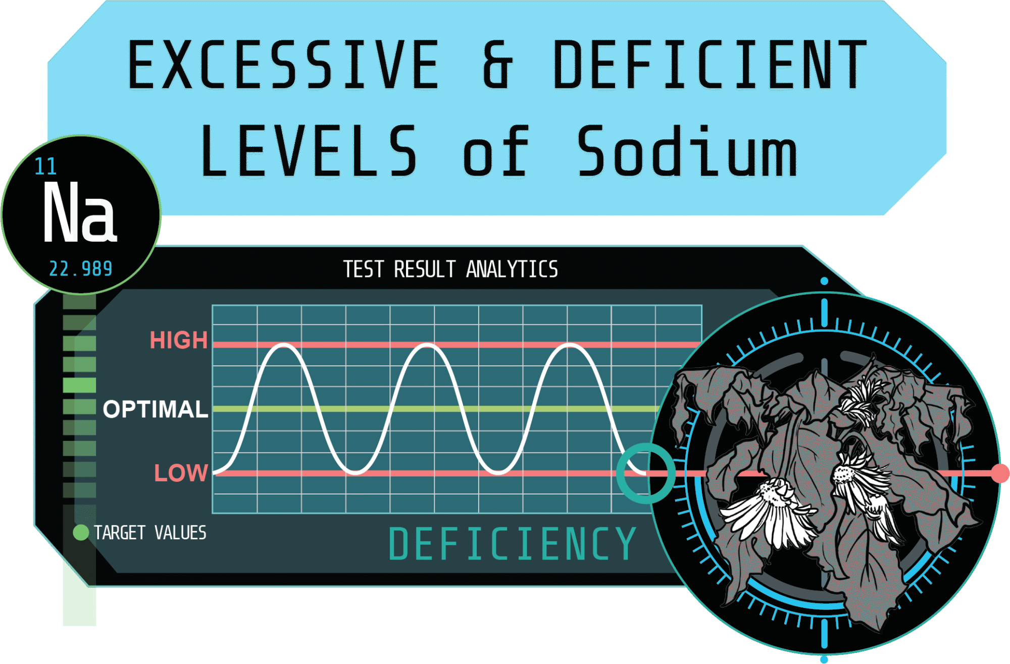Blog Post Graphic for Excessive and Deficient Levels of Sodium in Cannabis Cultivation