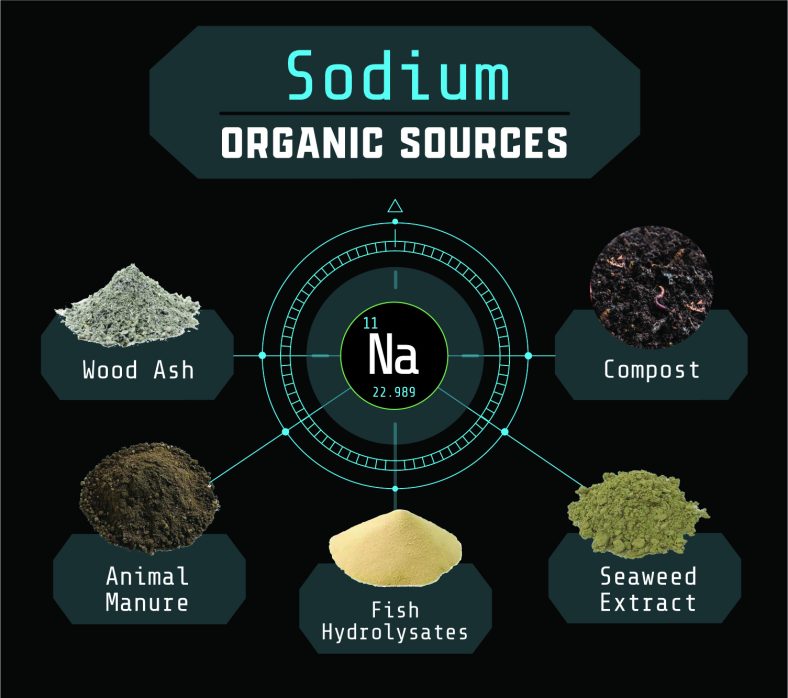 Organic Sources of Sodium for Plant Health