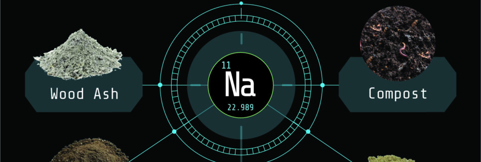 Arvum Blog Organic Sources of Sodium