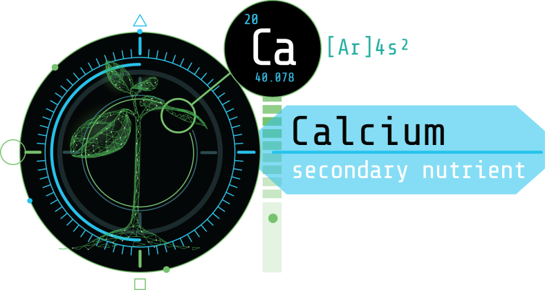 Arvum Blog Post Graphic Elemental Blog Graphic for Calcium in cannabis testing