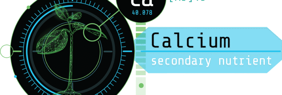 Arvum Blog Post Graphic Elemental Blog Graphic for Calcium in cannabis testing