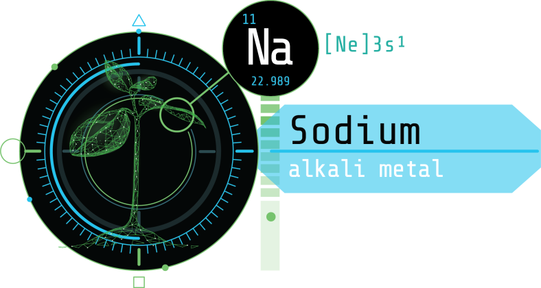 Sodium and Its Role in Plant Health