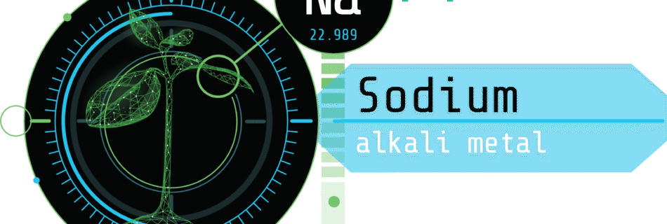 Arvum Blog Post Graphic Elemental Blog Graphic for Sodium in cannabis testing