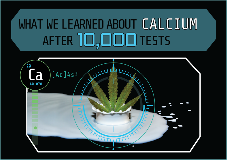 Insights into Calcium levels from Over 10,000 Tissue Tests