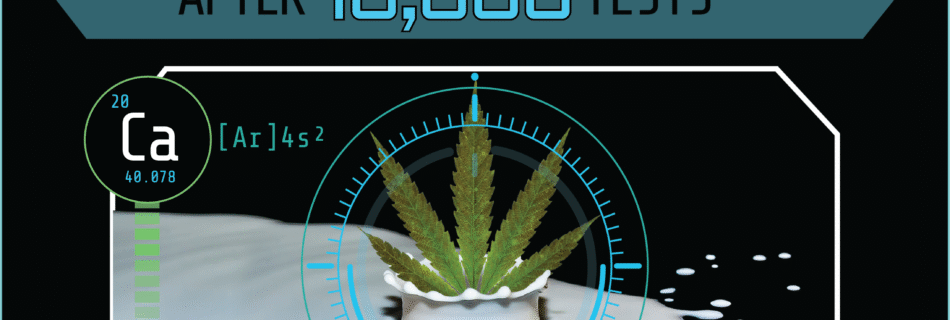 Arvum Blog Post Graphic for What we Learned About Calcium after 10,000 Tests