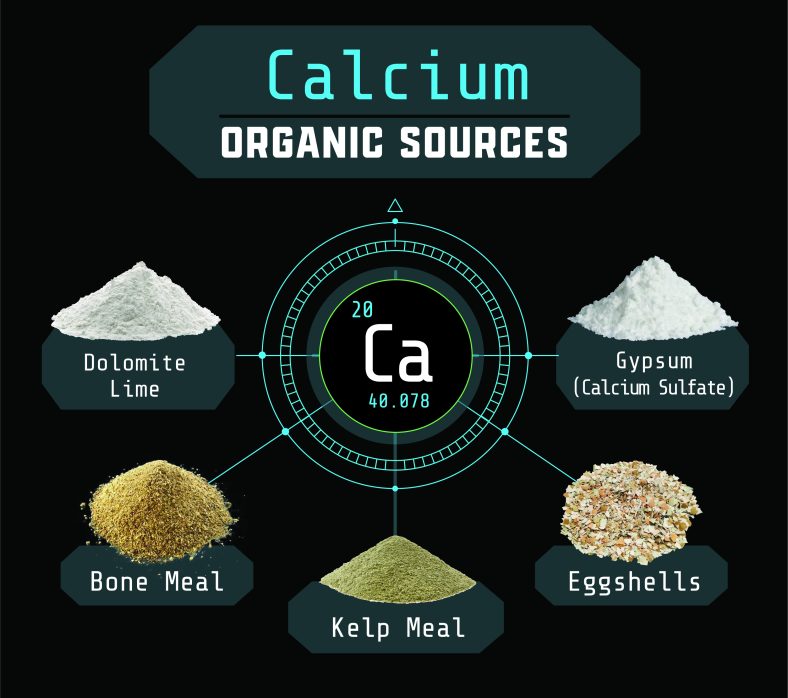 Exploring Organic Sources of Calcium for Cannabis Plants: Methods and Benefits