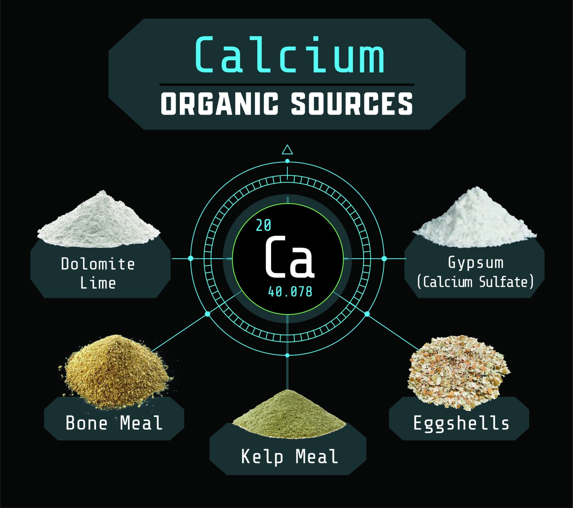 Arvum Blog Post Graphic for Organic Calcium Sources