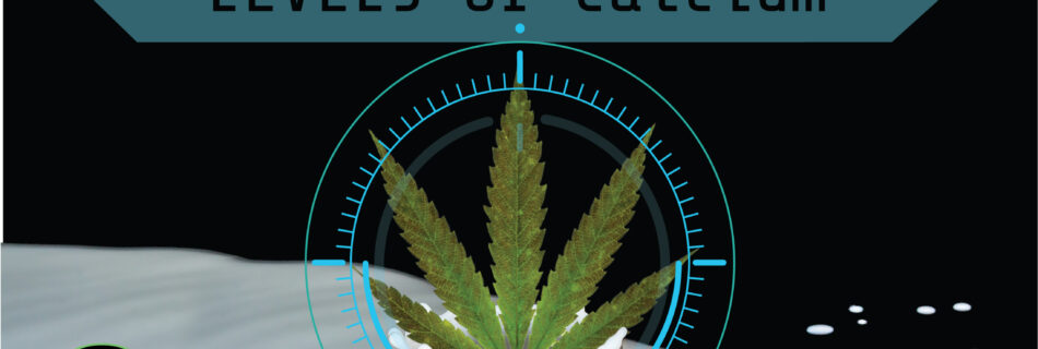 Arvum Blog Post Graphic for Excessive and Deficient Levels of Calcium in Cannabis Cultivation