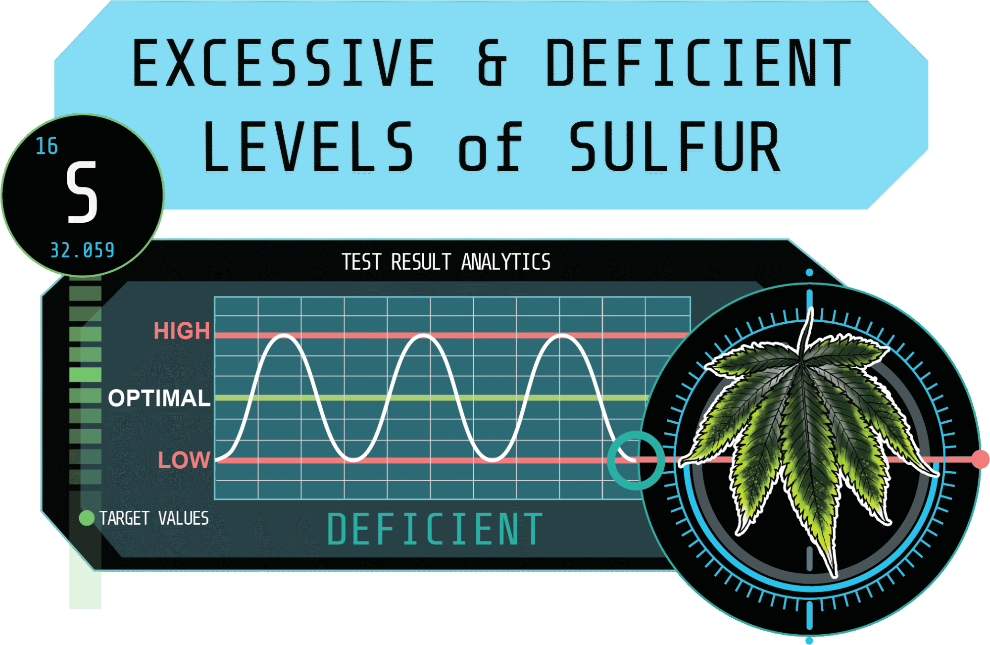 Blog Post Graphic for Excessive and Deficient Levels of sulfur in Cannabis Cultivation