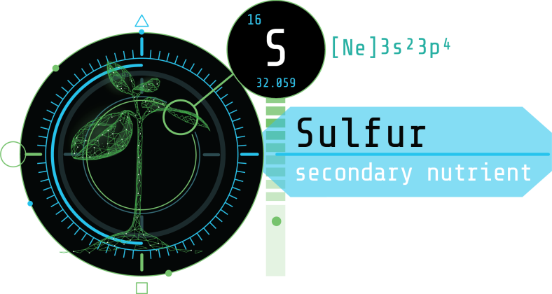 Overview of Sulfur and Its Role in Plant Health