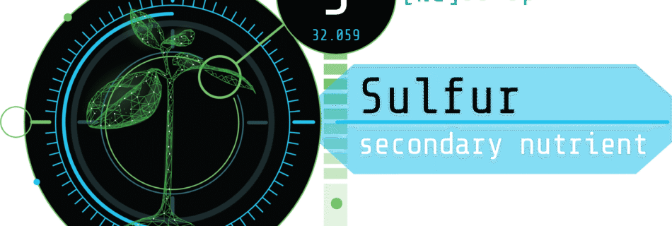 Elemental Blog Graphic for Sulfur in cannabis testing