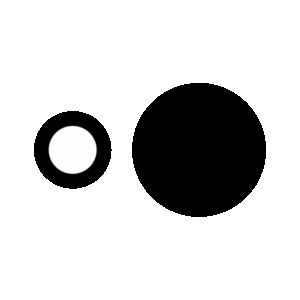 Fusarium SSP Testing Icon