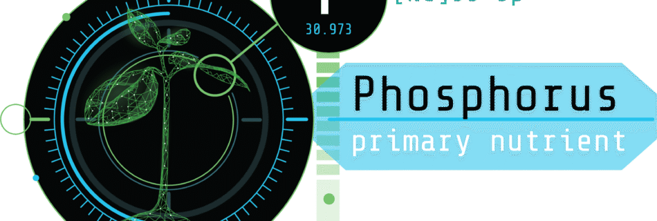 Elemental Blog Graphic-phosphorus in cannabis testing