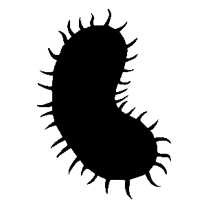Pythium SSP Testing Icon
