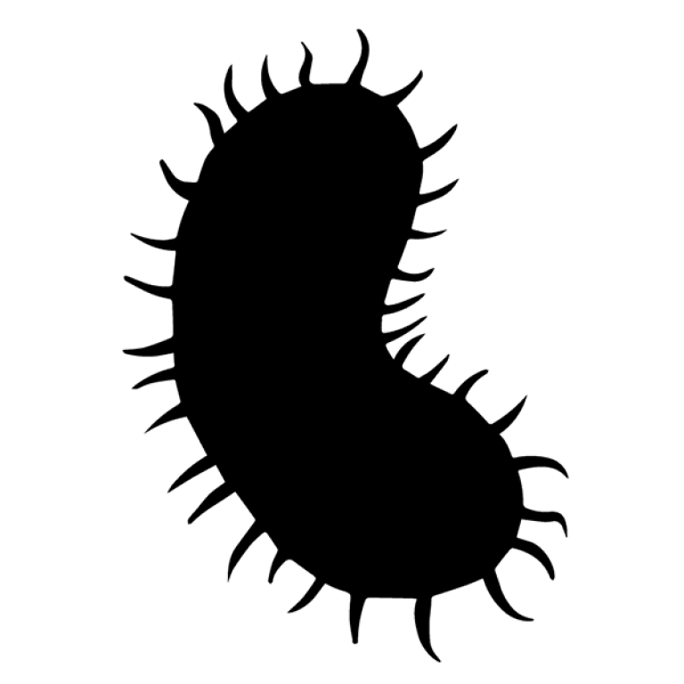 Pythium SSP Testing Icon