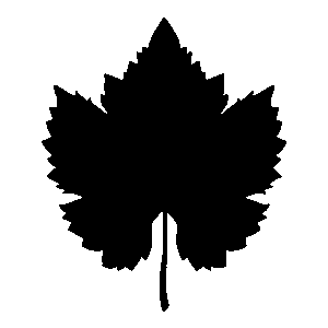 Plant Tissue Analysis Icon