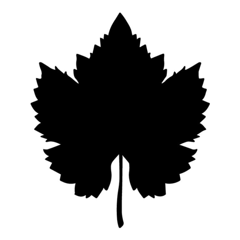 Plant Tissue Analysis Icon