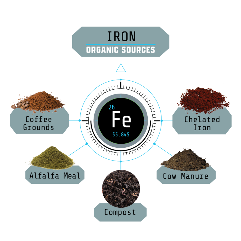 Organic Sources of Iron and Their Application Methods