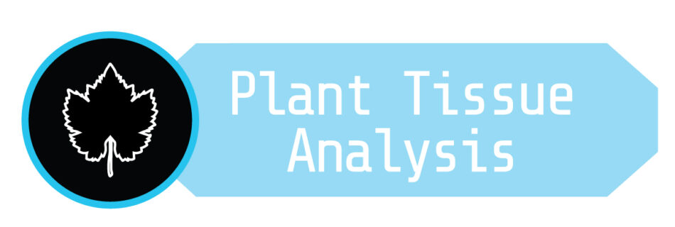 Arvum Plant Tissue Analysis Graphic