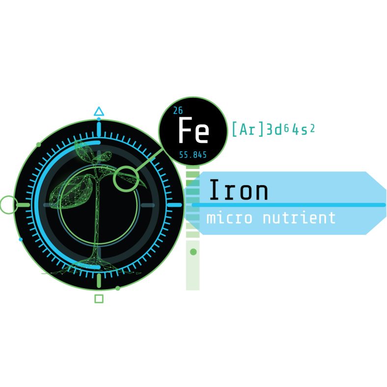 The Essential Role of Iron in Cannabis Cultivation: An Overview