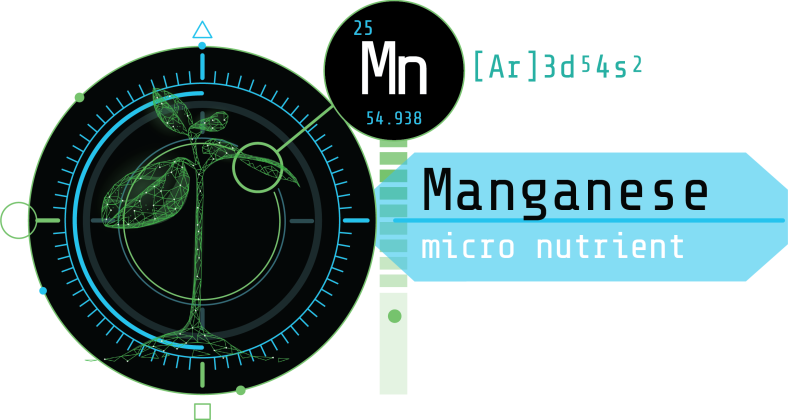 The Essential Role of Manganese in Plant Performance: An Overview