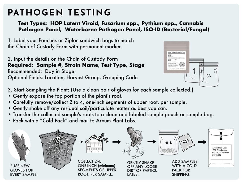 Pathogen Root Mass Sampling Instructions