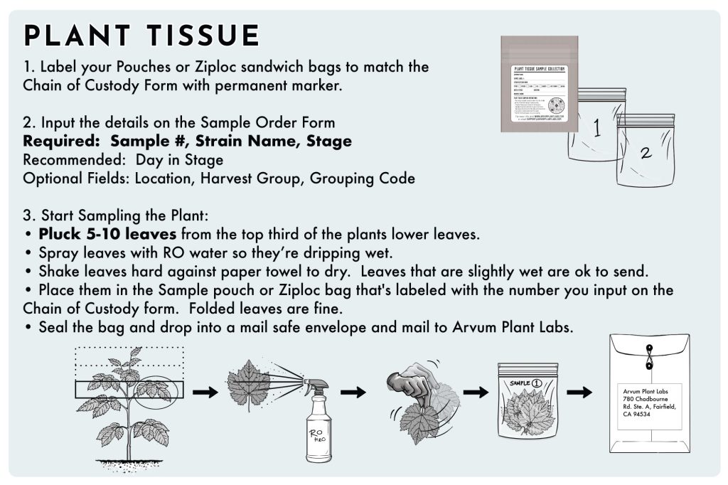 Plant Tissue Sampling Instructions